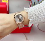 Omega Seamaster Aqua Terra 34mm Quartz Movement Rose Gold Bracelet Women Watch